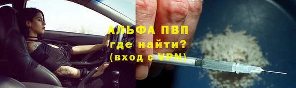 дживик Инсар