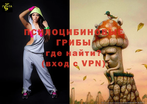 дживик Инсар
