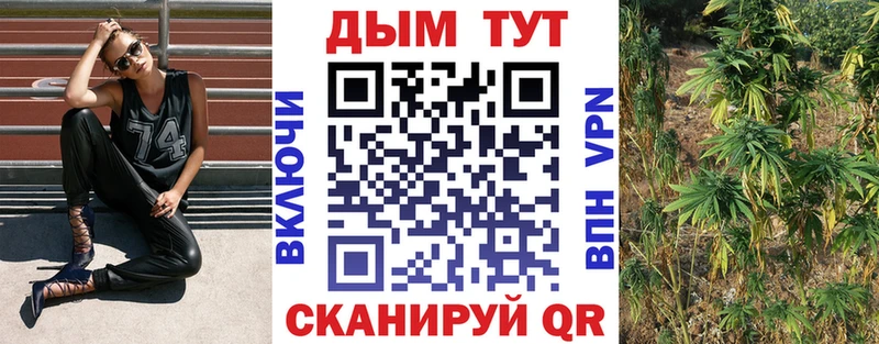 Купить  Белово  Бошки марихуана ГИДРОПОН 